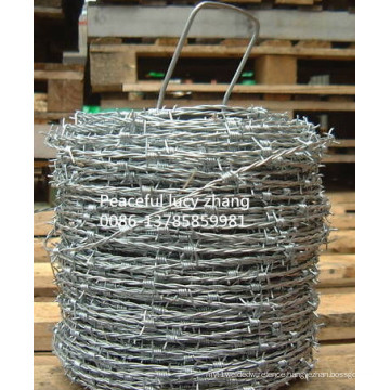 Galvanized or PVC Coated Barbed Wire Manufacture